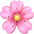 :cherry_blossom: :cherry_blossom: